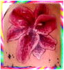 FOWER