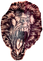 pavian